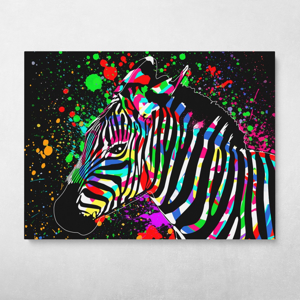Colorful Zebra Colorful Zebra