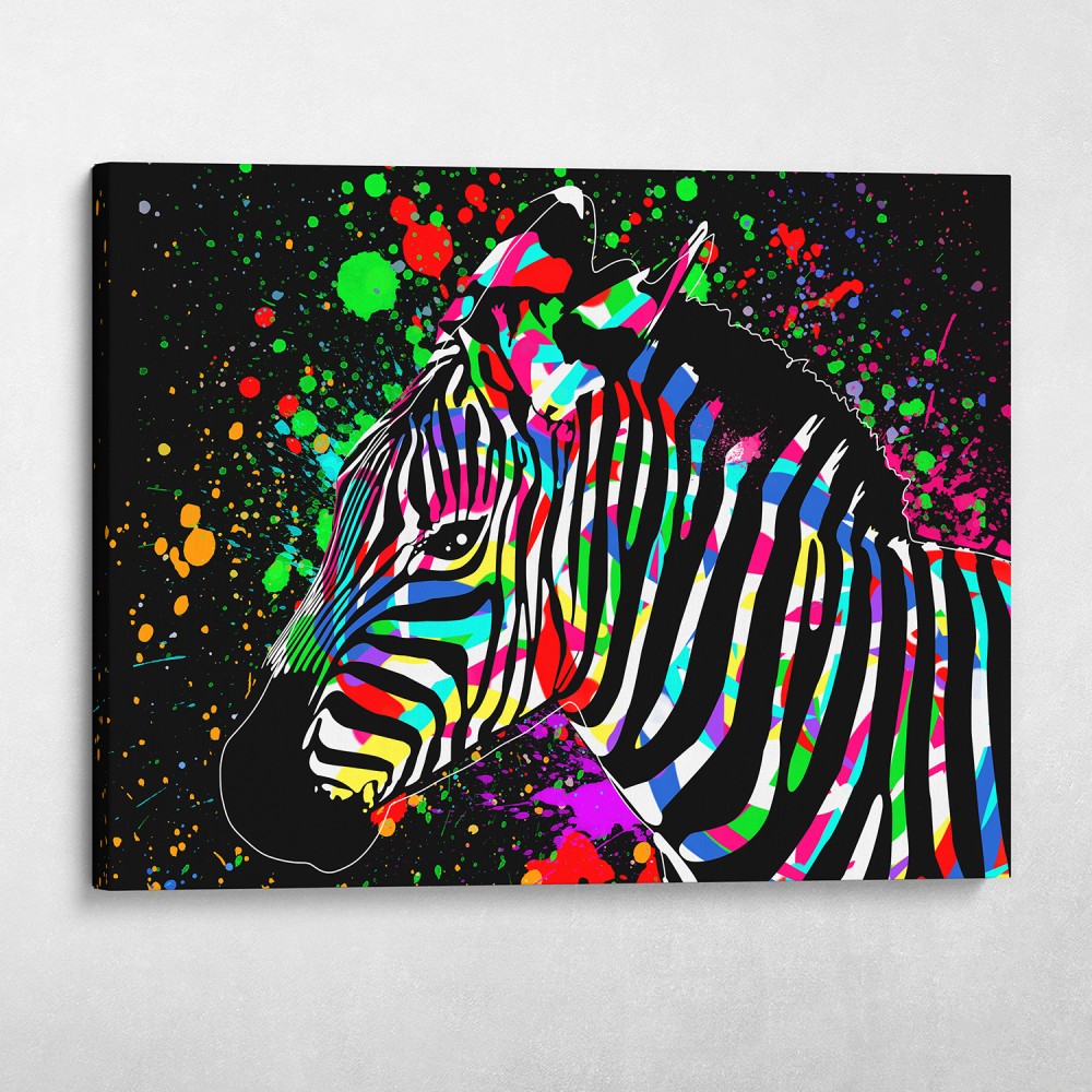 Colorful Zebra Colorful Zebra