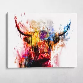 Highland Cow