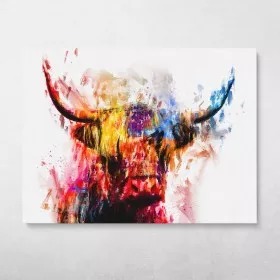 Highland Cow