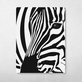 Black And White Zebra