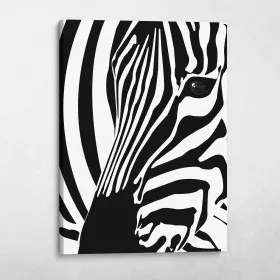Black And White Zebra