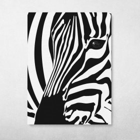 Black And White Zebra