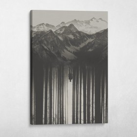 Forest Mountain