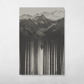 Forest Mountain