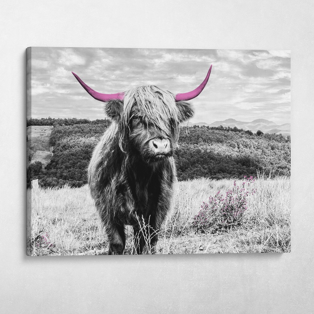 Pink Horned Highland Cow Pink Horned Highland Cow