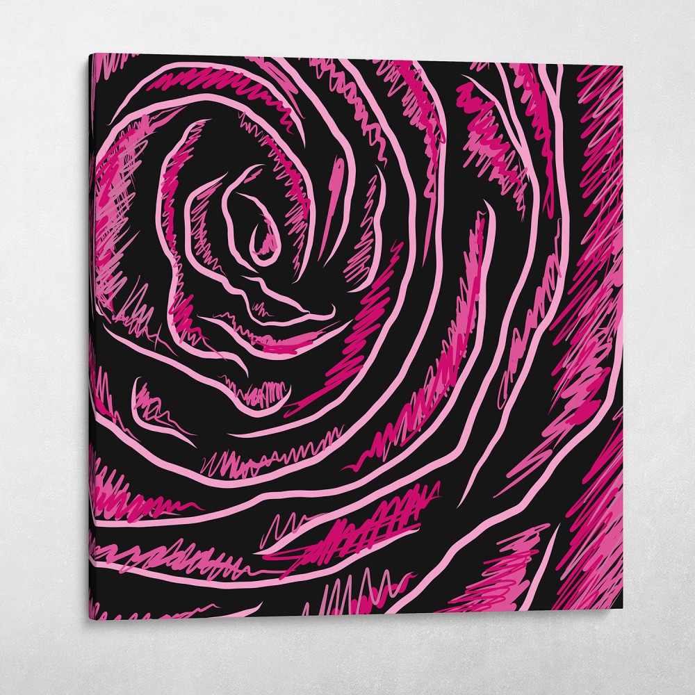 Pink Rose Pink Rose