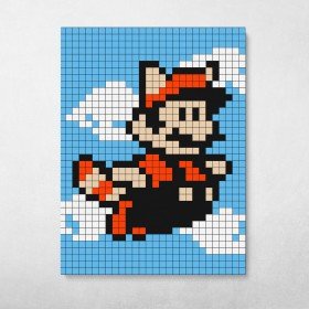 Pixel Raccoon Suit