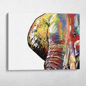 Vibrant Elephant